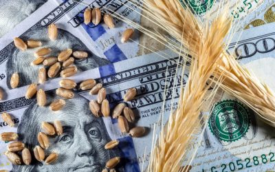 trading commodities